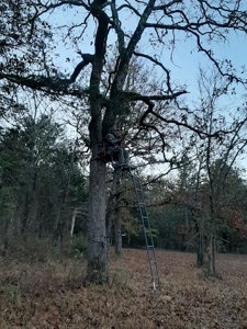 Home And Cabin Site For Sale In Southeast Oklahoma - image 32