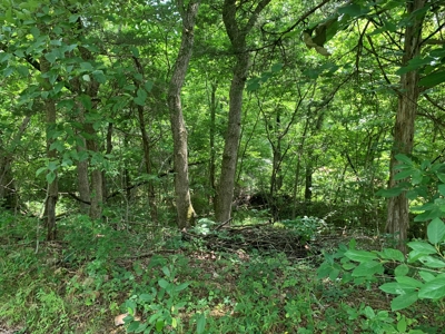 Acreage for Sale - image 5