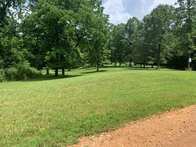 Acreage for Sale - image 1
