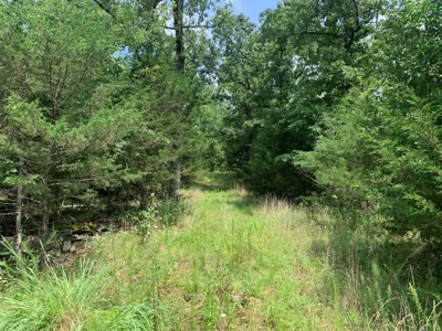 Acreage for Sale - image 9