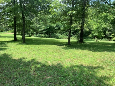 Acreage for Sale - image 7