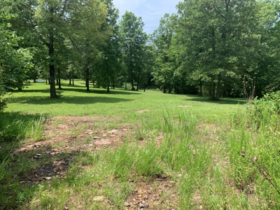Acreage for Sale - image 10