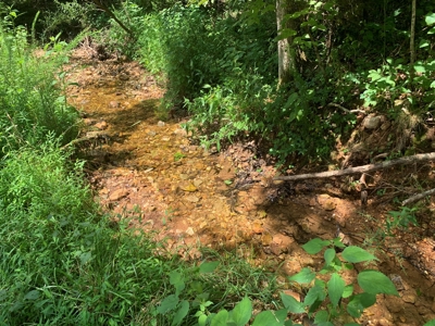 Acreage for Sale - image 2