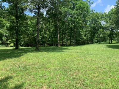 Acreage for Sale - image 6