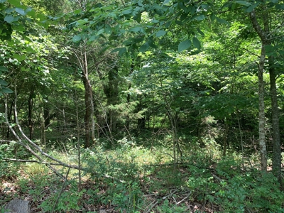 Acreage for Sale - image 8