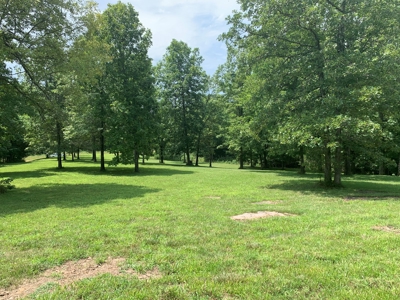 Acreage for Sale - image 4