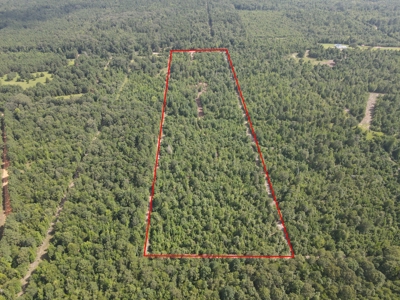 East Texas Hunting Land for sale - image 18