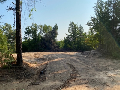 East Texas Hunting Land for sale - image 13