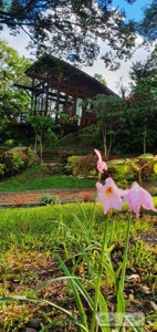 Country House For Sale In Altos Del Maria Panama - image 1