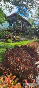Country House For Sale In Altos Del Maria Panama - image 3