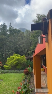 Country House For Sale In Altos Del Maria Panama - image 18