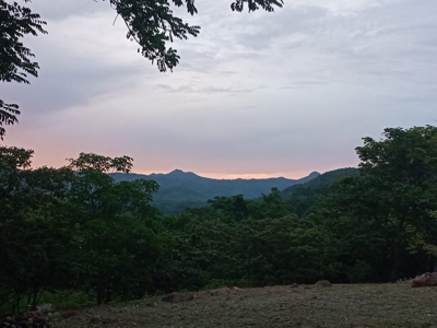 Lot For Sale In Sajalices Chame Panama - image 13