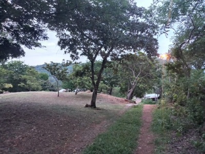 Lot For Sale In Sajalices Chame Panama - image 9