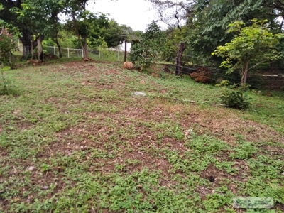 Lot For Sale In Sajalices Chame Panama - image 1