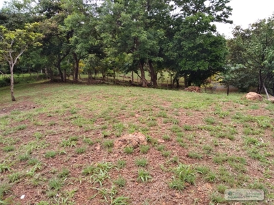 Lot For Sale In Sajalices Chame Panama - image 5