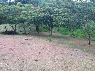 Lot For Sale In Sajalices Chame Panama - image 7