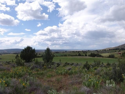 20 acres For Sale in Modoc County, California. - image 1