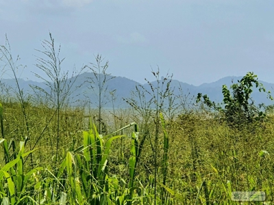 Oceanfront Lots for Sale in Punta Chame – 2,236m² - image 7