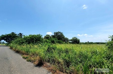 Oceanfront Lots for Sale in Punta Chame – 2,236m² - image 6