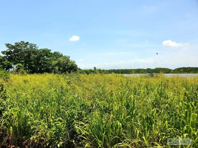 Oceanfront Lots for Sale in Punta Chame – 2,236m² - image 5