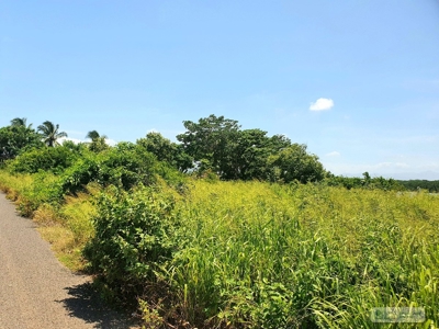 Oceanfront Lots for Sale in Punta Chame – 2,236m² - image 8
