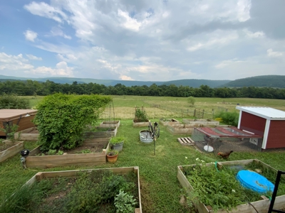 Searcy County, Arkansas | Farm & Land with Home For Sale - image 10