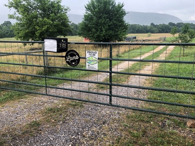 Searcy County, Arkansas | Farm & Land with Home For Sale - image 4