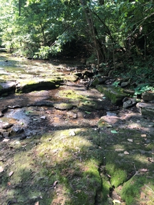 Searcy County, Arkansas | Farm & Land with Home For Sale - image 29