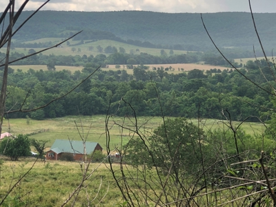 Searcy County, Arkansas | Farm & Land with Home For Sale - image 2