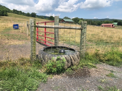 Searcy County, Arkansas | Farm & Land with Home For Sale - image 6