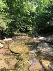 Searcy County, Arkansas | Farm & Land with Home For Sale - image 30