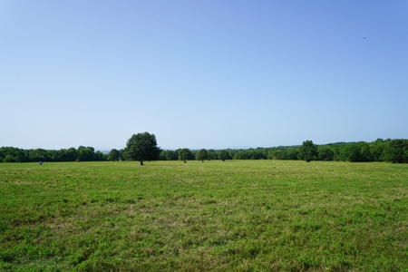 Leflore County Mountain Land For Sale - image 1
