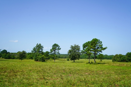 Leflore County Mountain Land For Sale - image 23