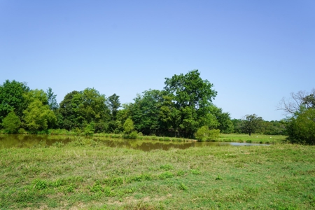 Leflore County Mountain Land For Sale - image 2