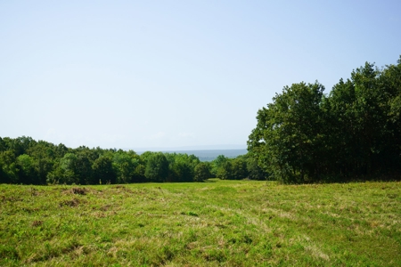 Leflore County Mountain Land For Sale - image 22