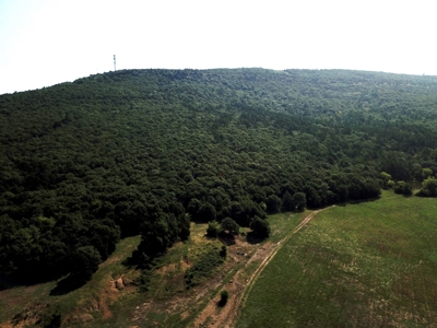 Leflore County Mountain Land For Sale - image 41