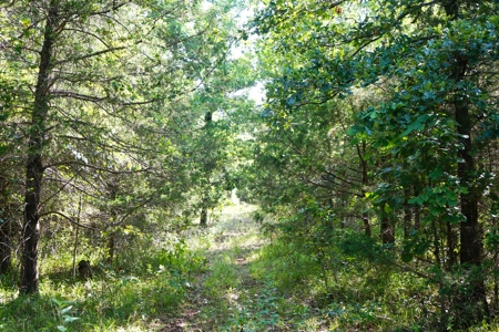 Leflore County Mountain Land For Sale - image 14