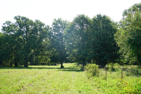 Leflore County Mountain Land For Sale - image 10