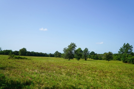 Leflore County Mountain Land For Sale - image 24