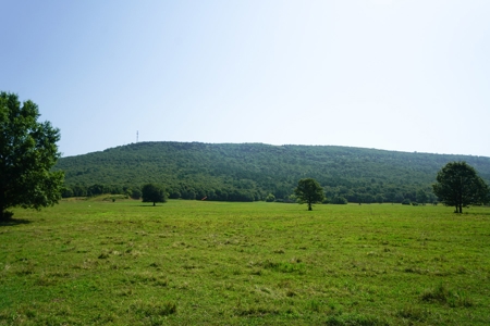 Leflore County Mountain Land For Sale - image 6