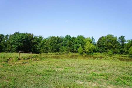 Leflore County Mountain Land For Sale - image 3