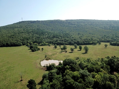 Leflore County Mountain Land For Sale - image 44