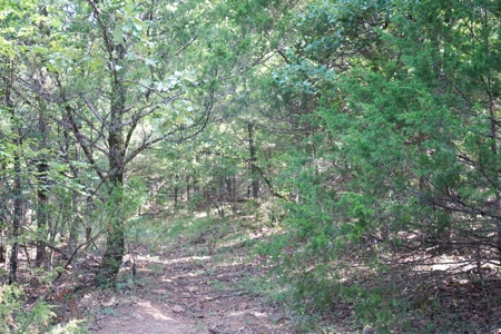 Leflore County Mountain Land For Sale - image 15