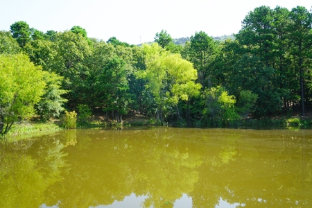 Leflore County Mountain Land For Sale - image 26