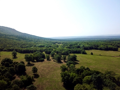 Leflore County Mountain Land For Sale - image 47