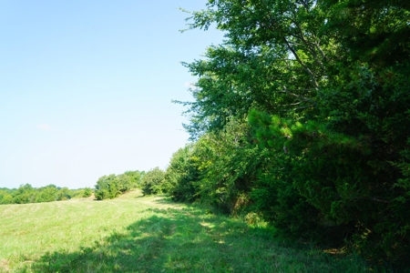 Leflore County Mountain Land For Sale - image 27
