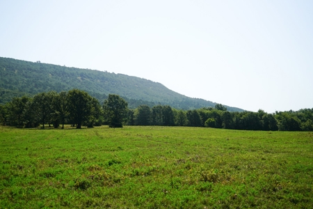 Leflore County Mountain Land For Sale - image 7