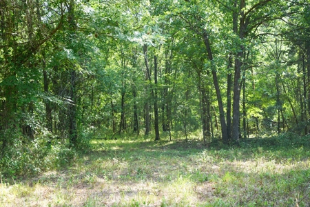 Leflore County Mountain Land For Sale - image 12