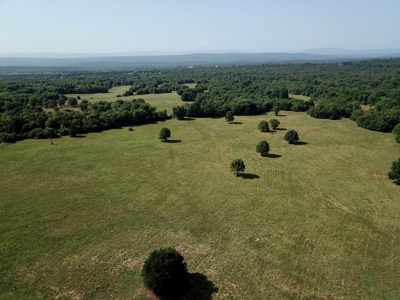 Leflore County Mountain Land For Sale - image 36