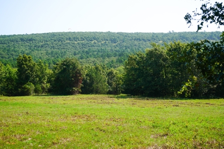 Leflore County Mountain Land For Sale - image 19